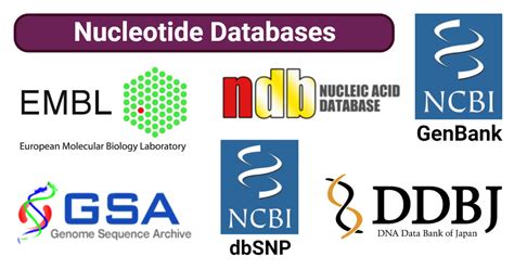 Nucleotide Databases- Definition, Types, Examples, Uses