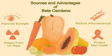 Top 15 Health Benefits of Beta Carotene | Anzen Exports