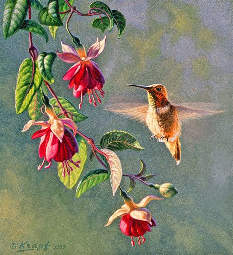 Hummingbird And Flower Painting at PaintingValley.com | Explore ...