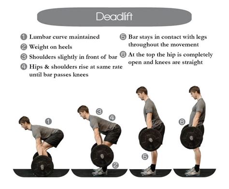 Learn proper Deadlift form to build strength through our animated gif ...