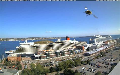 Halifax Harbour ,cruise ships ,bumblebee | Day trips, Cruise ship ...