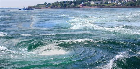 Scuba Diving on Deer Island New Brunswick | Dive Buddies 4 Life