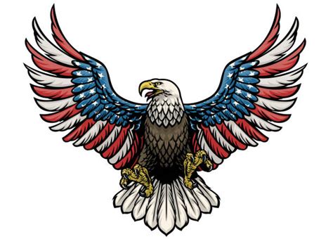 230+ Drawing Of The Eagle And American Flag Stock Illustrations ...