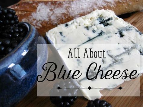 From Mild to Strong: How to Select the Best Blue Cheese - Delishably