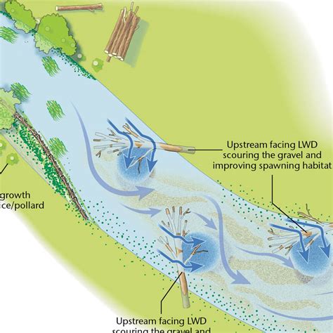 Environmental Diagrams | Drawing Attention Environment Graphic Design ...