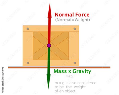 Free body diagram. Normal force load, weight mass gravity. Identifying ...