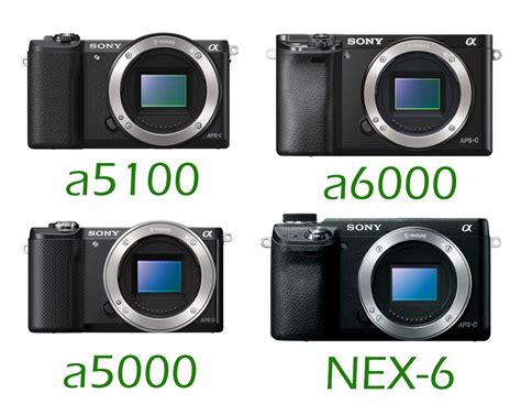 Sony A5100 Vs. A6000 Vs. A5000 Vs. NEX-6 Specs Comparison - Camera News ...