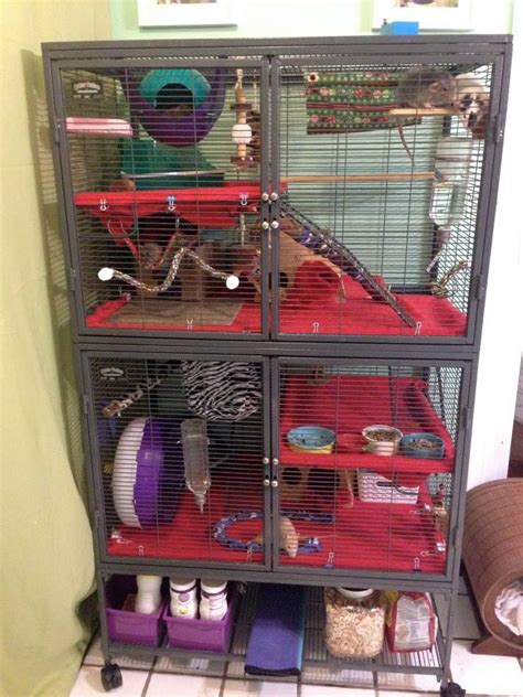 Rat Cage setup ideas from Ratgirl44 on YouTube | Rat cage, Rats, Pet rats