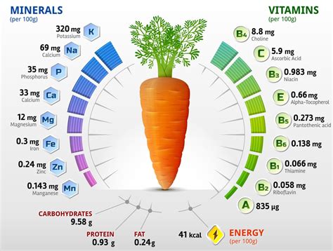 Are Carrots Hard to Digest? Understanding the Digestive Process of ...