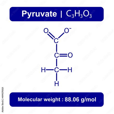 Pyruvate Molecule Chemical Structure. Vector Illustration. Stock Vector ...