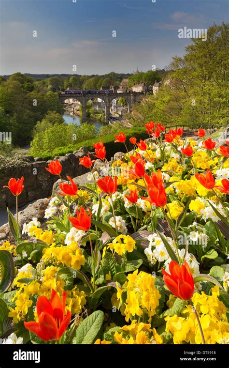 Knaresborough viaduct hi-res stock photography and images - Alamy