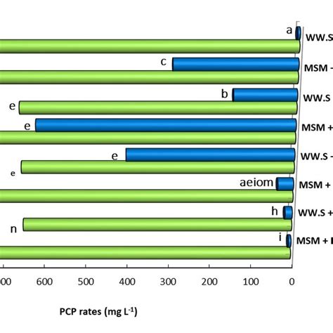 Evaluation of the bioaugmentation process of the Pseudomonas strain in ...