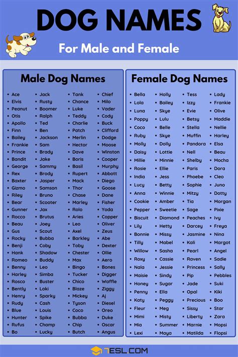 What Are Some Popular Names For Female Dogs