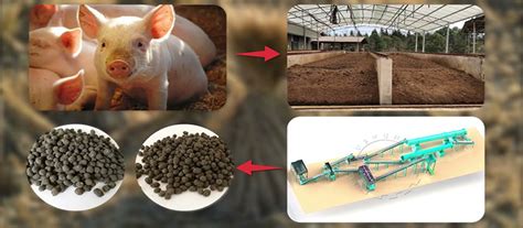 The Solution For Pig Farm Waste Disposal In Bulgaria | Process