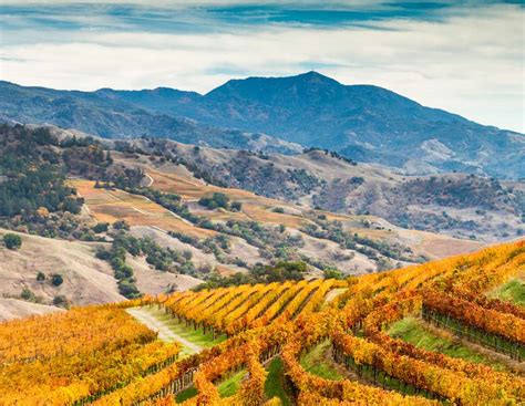 Guide to California Wine Country Honeymoons