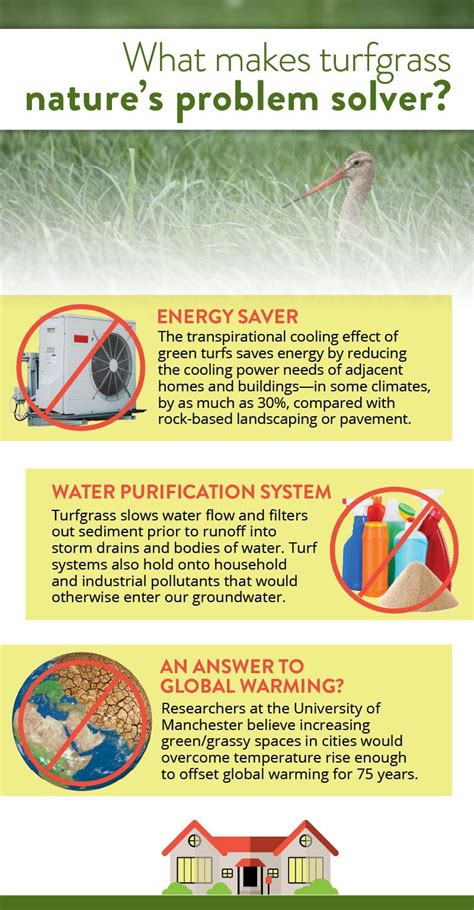 Environmental Benefits of Turfgrass | Virginia Turfgrass Foundation