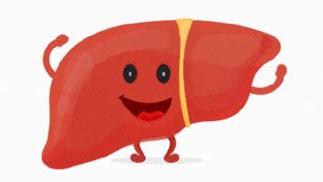 Liver GIFs - Find & Share on GIPHY