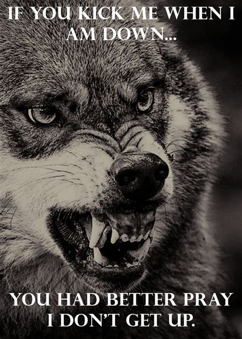 You have been warned. | Wolf quotes, Lone wolf quotes, Animal quotes