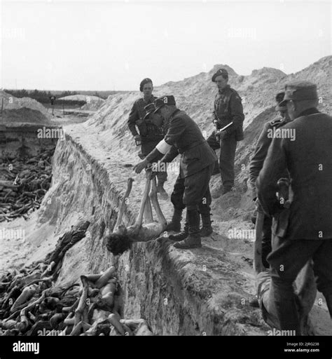 Liberation bergen belsen concentration camp april Black and White Stock ...