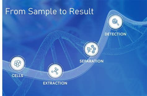 Protein analysis - Isogen Lifescience