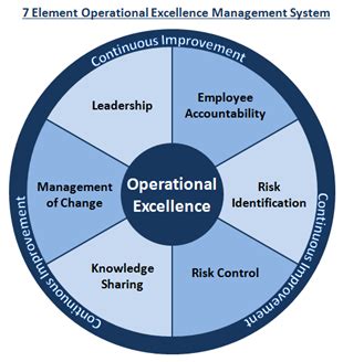 The 7 Element Operational Excellence Management System: Our BIG Idea