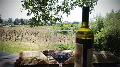 Sonoma Valley wine tasting tours. Visit best wineries of the county by ...