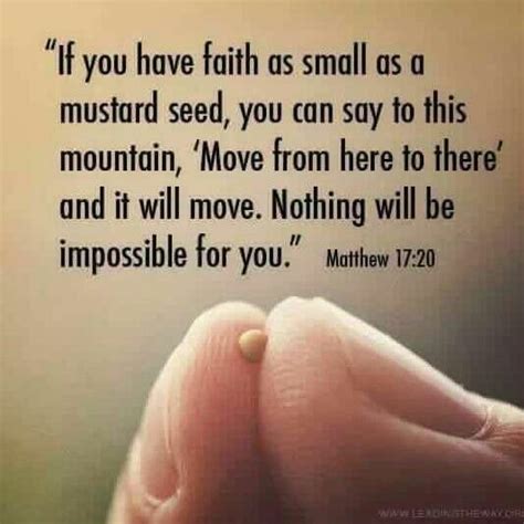 'If you have faith as small as a mustard seed you can move mountains ...