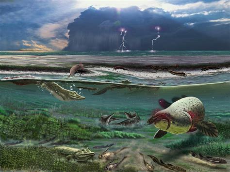 Devonian Tetrapod Had Crocodile-Like Lifestyle | Paleontology | Sci ...