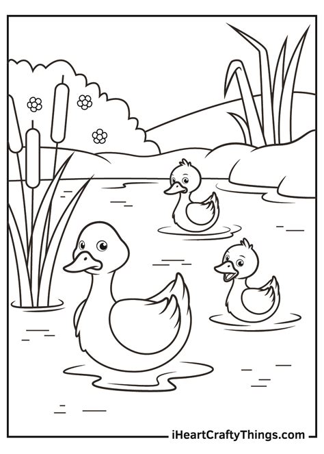 Duck Coloring Pages (Updated 2021)