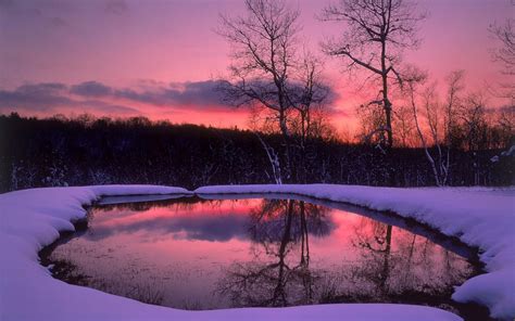 Stunning Winter Forest Twilight (Washington State winter pinned by M C ...