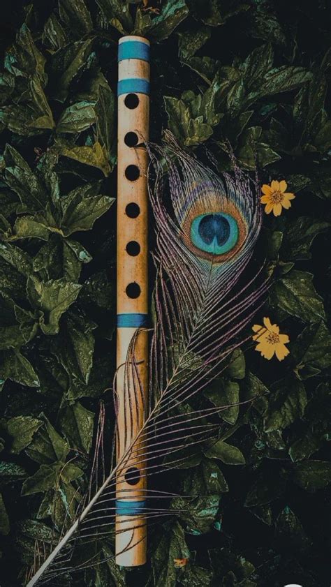 Flute and peacock feather 🪶 | Android wallpaper nature, Pictures of ...