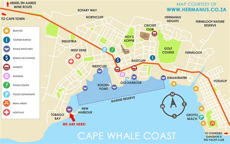 Hermanus Whale Cruises - The Boat Trip