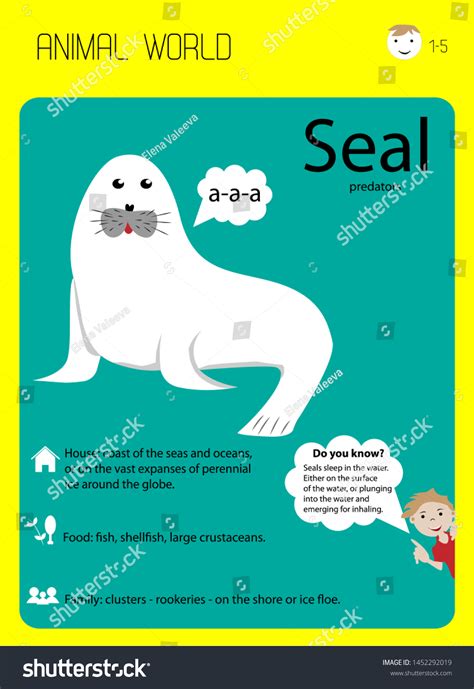 White Seal Educational Flash Cards Habitat Stock Vector (Royalty Free ...