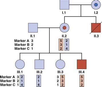 DNA Technology and Applications | Clinical Gate