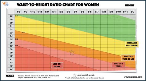 Waist-to-hip ratio: Reliable research shows if you need to lose weight