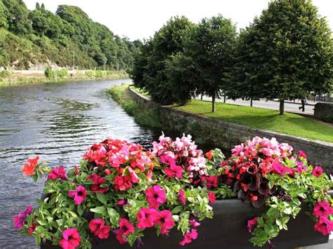 Hotel Gallery | Wexford Hotel | 4* Riverside Park Hotel