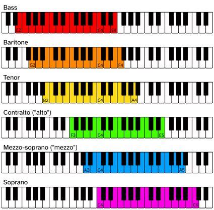 Vocal Range Calculator | Find My Voice Type (2024)