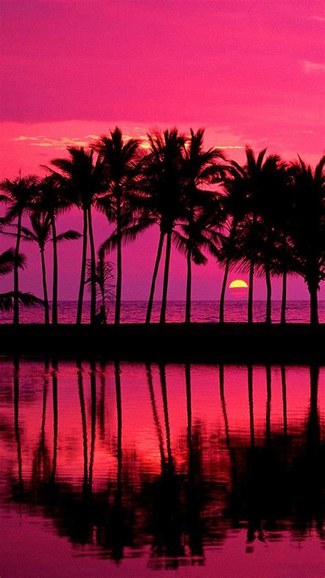 Pink Sunset Wallpaper Home Screen | Iphone wallpaper tropical, Sunset ...