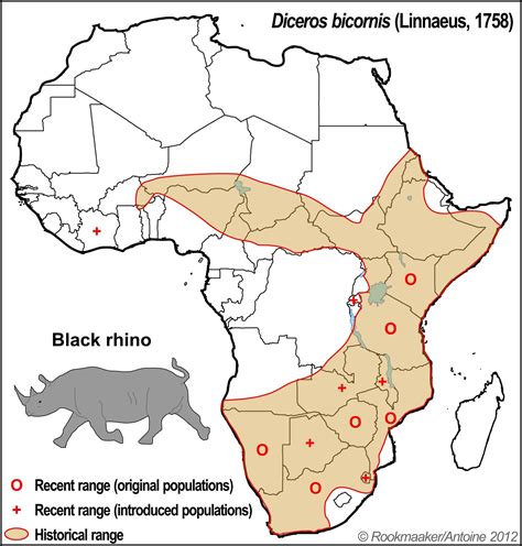 Where do Black Rhino Live -Black Rhinoceros Habitat - Rhino Rest