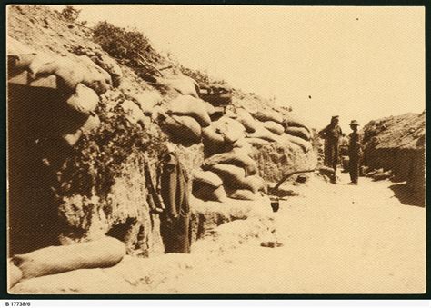 Gallipoli Trenches • Photograph • State Library of South Australia