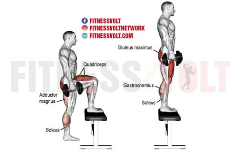 alternate step ups > OFF-61%