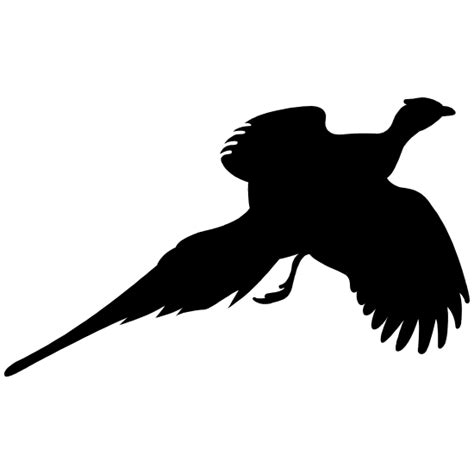 Pheasant Flying Silhouette