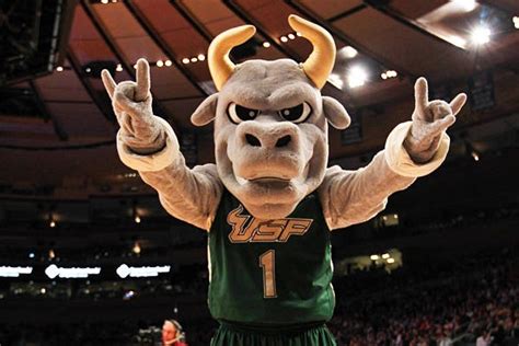 Ranking the mascots for the 2012 NCAA tournament | Mascot, Usf bulls, Ncaa