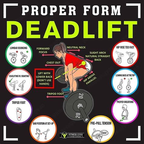 How To Master The Deadlift For Full Body Muscle Strength And Gains ...