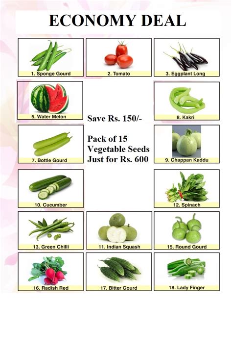 Deal of 15 Vegetable Seeds | Sunny View Seeds | Buy Seeds, Bulbs ...