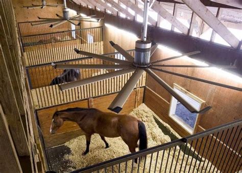 Top 5 Best Horse Barn Fans For Stalls and Aisles of 2023