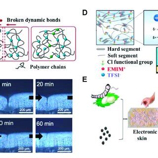 Application of bionic skin in prostheses. (A) The schematic ...