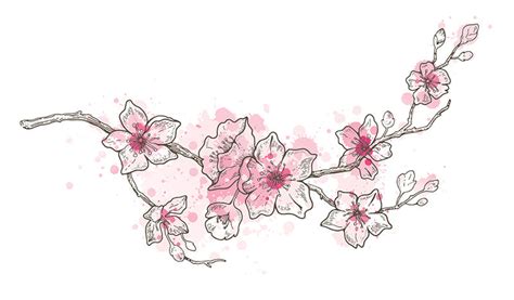 Sakura Flower Tattoo Clip Art | Best Flower Site