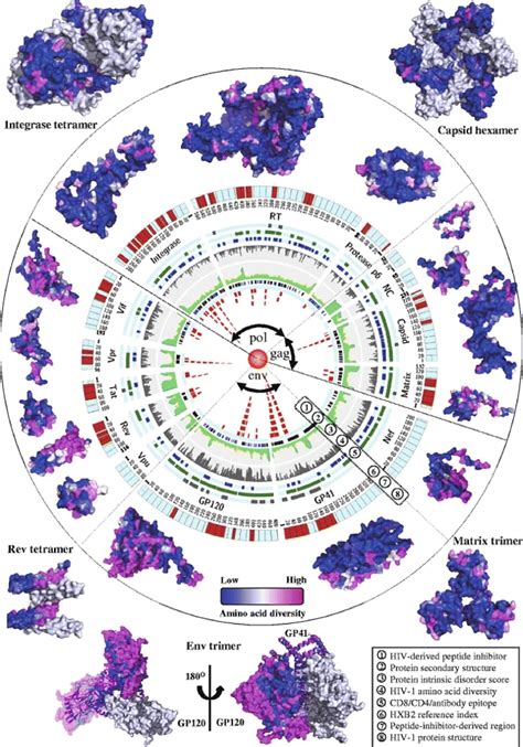 An integrated map of HIV genome-wide variation from a population ...