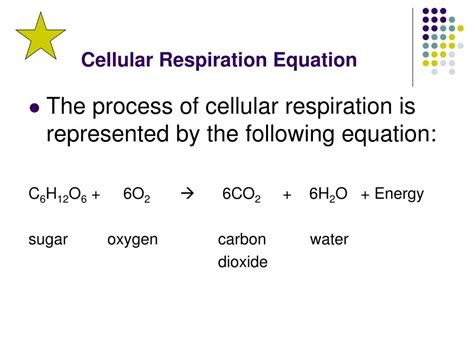 Cellular Respiration Equation